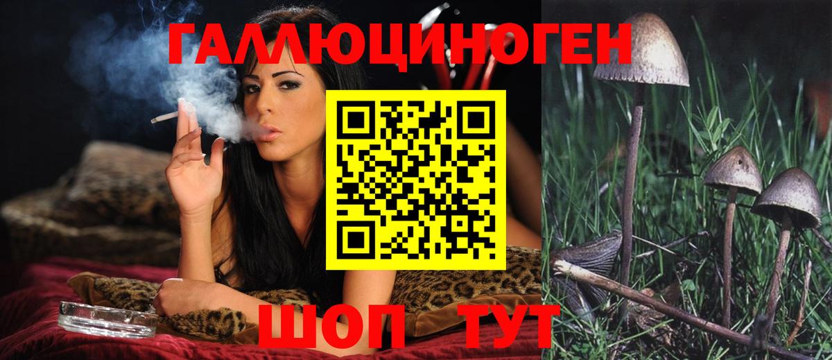 Рузаевка  Псилоцибиновые грибы GOLDEN TEACHER  Галлюциногенные грибы MAGIC MUSHROOMS  Вход с VPN 